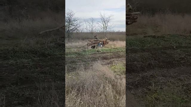 Едим за дровами