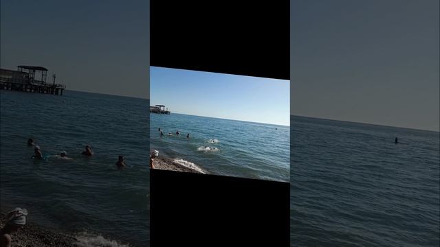 Море 2024