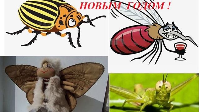 ПОЗДРАВЛЕНИЕ НАСЕКОМЫХ