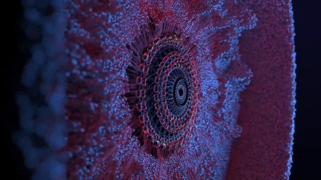 Motorola Edge Plus hands-on #MotorolaEdgePlus has arrived