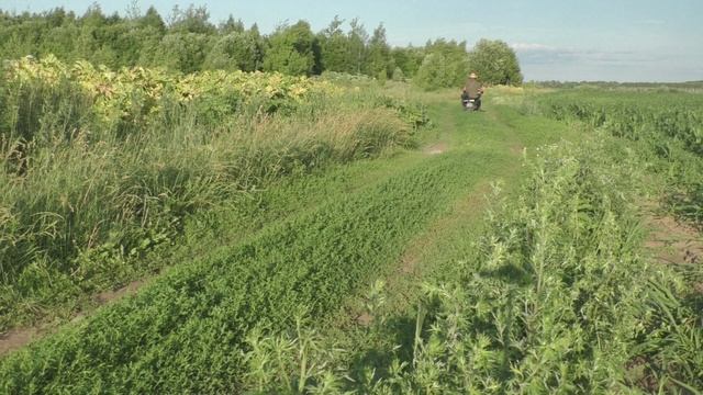 БРИЧКА ДЛЯ ПРЕДСЕДАТЕЛЯ