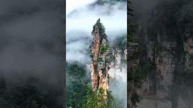 ⛰️ | Национальный лесной парк Чжанцзяцзе.