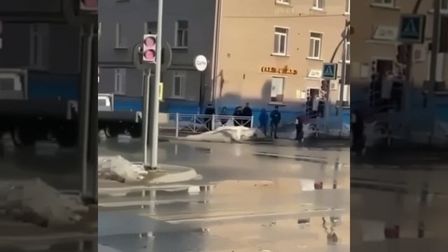 Приколы - юмор ВК (люди\животные\смех\до слез\cube\подборки\youtube)