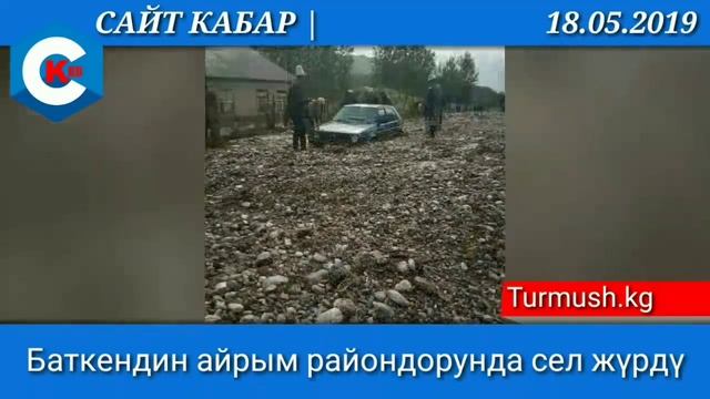 60тан ашуун Кыргыз жаранын милиция кармап кеткенин билдирди.