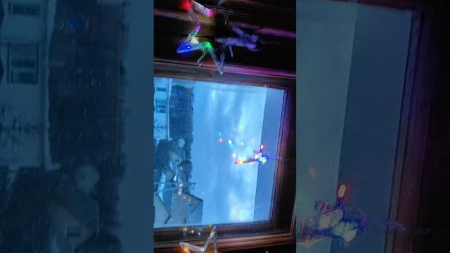 VID_20250105_230805_221.mp4