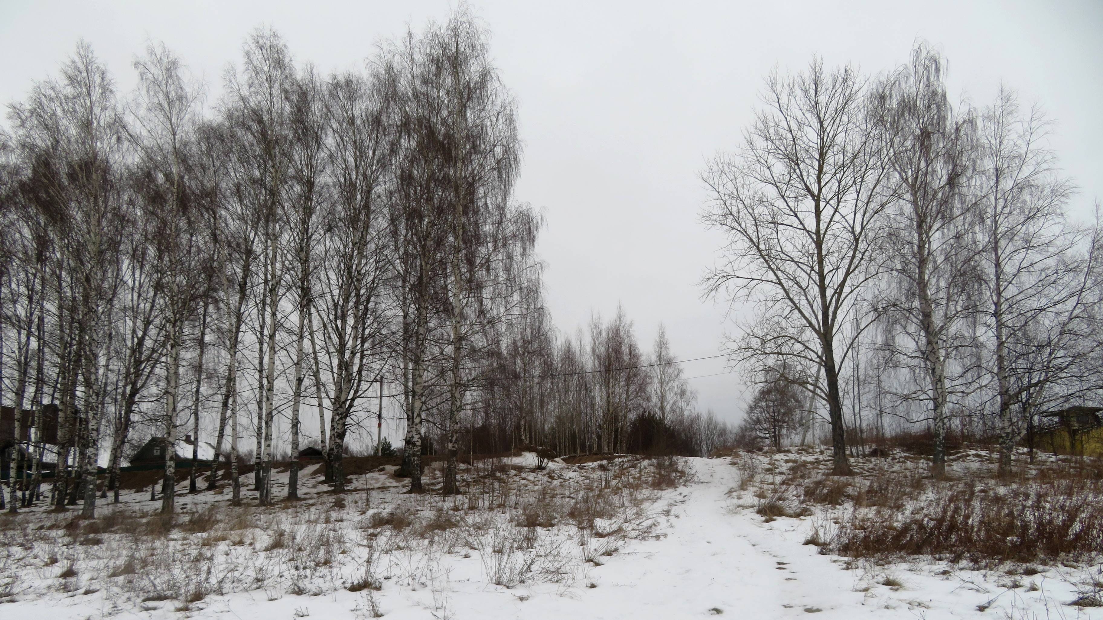 Заволжье 2. Приглашаю на Прогулку для Здоровья ! 4 января 2025 год.