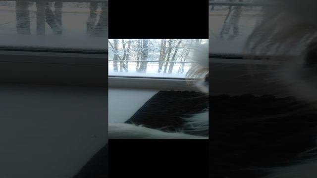 мама на работе папа на рыбалке
