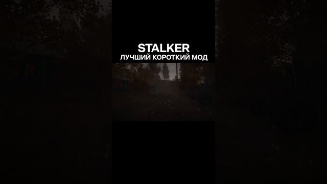 Лучший мод stalker #stalker #сталкер #игры #filine