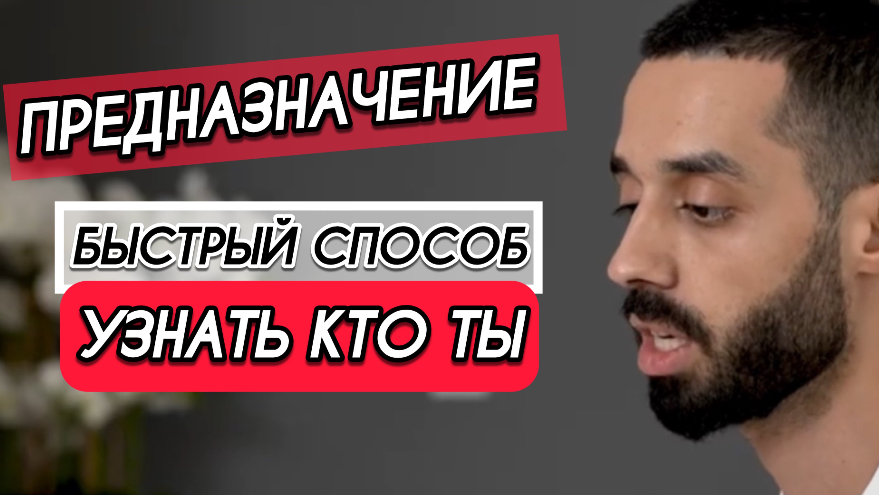 Хочешь узнать свое Предназначение? за 7 минут|Анар Дримс
