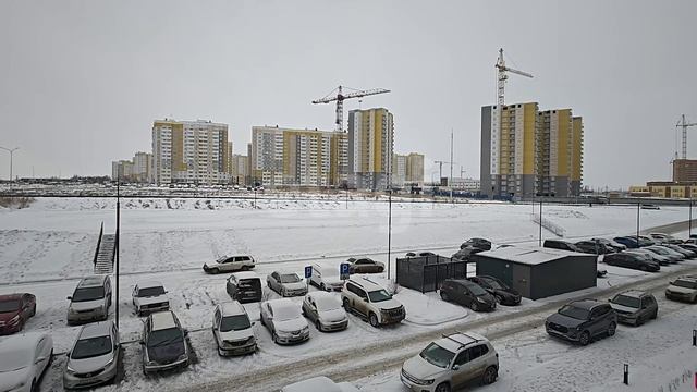Сокол