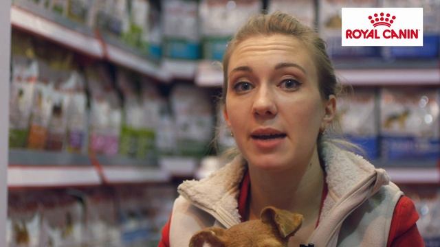 Royal Canin - Выставка (v2)