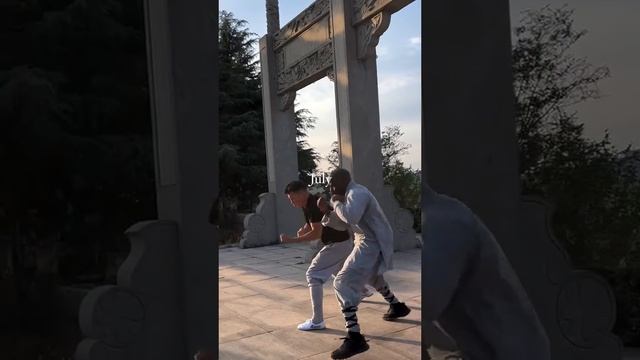 Кунг-фу😍