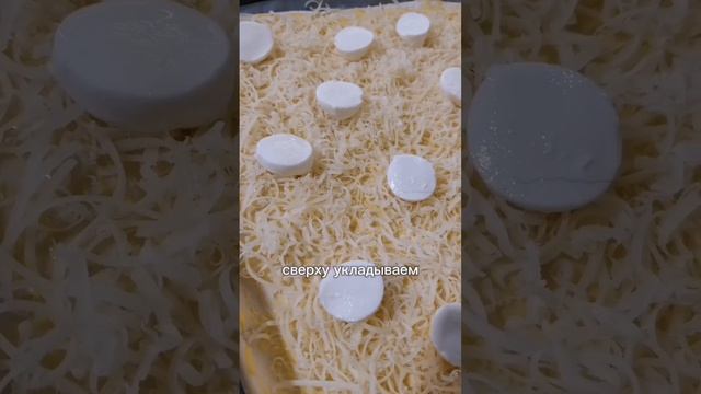 petal_20241218_173532.mp4