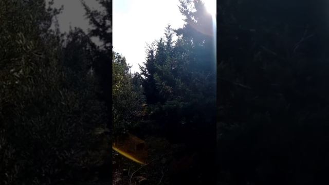 Эта волшебная аффирмация в подарок 🎁