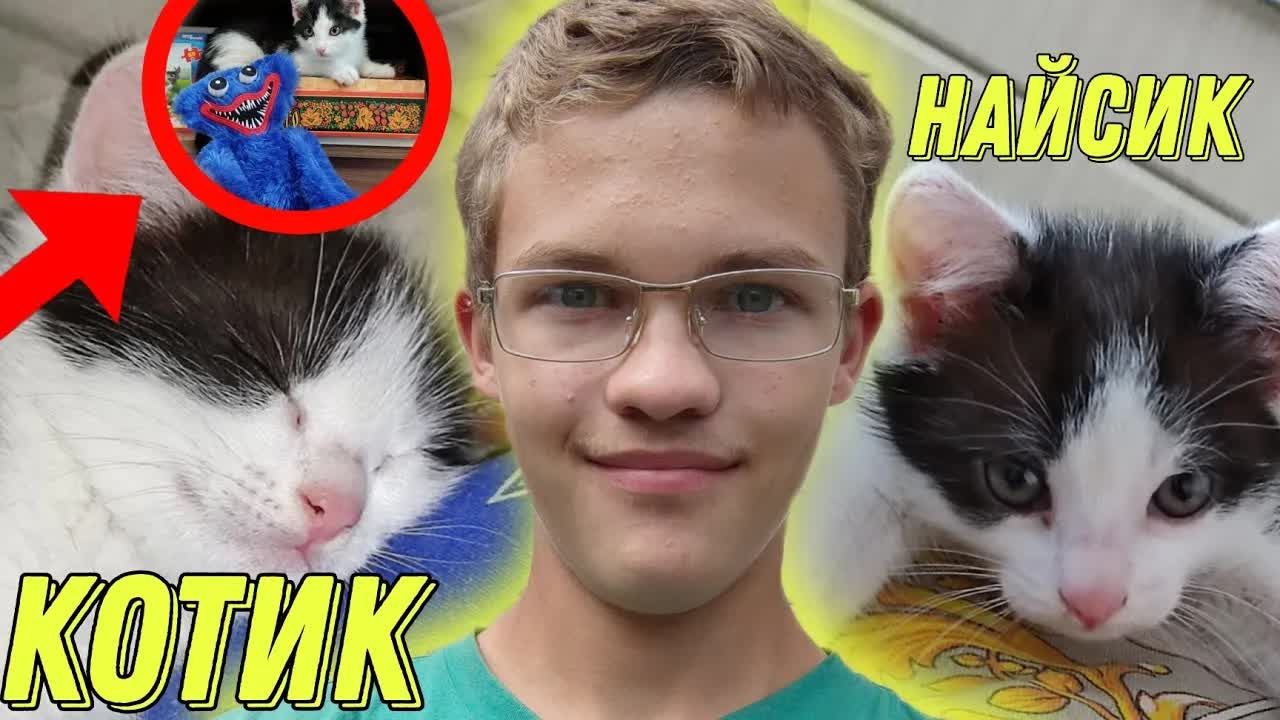 Котик Найсик 😻