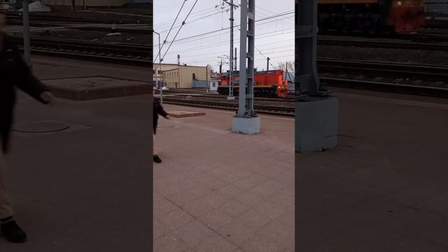 Тепловоз ТЭМ18ДМ в Твери #shorts #тепловоз #локомотив #тепловоз #железнаядорога #станция #тверь #рж