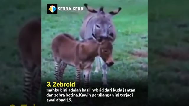 Monster Ini Terbentuk dari Sperma Pria, 5 Makhluk Aneh yang Diciptakan Manusia