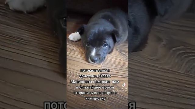 1000014585.mp4