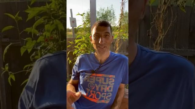Как избавиться от переедния 🤔