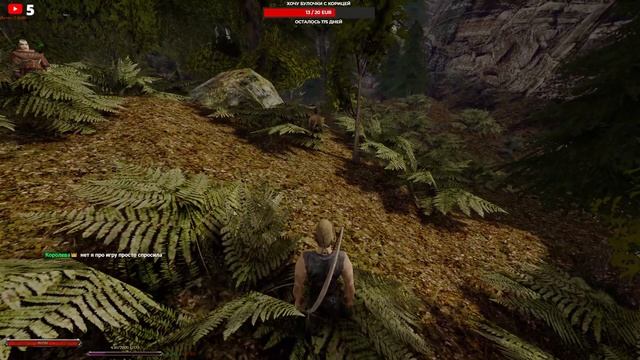 Stream Co-oP Gothic 2 Кузнец: Безымянный герой: Начало веселья на хардах!