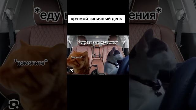 моё утро в рабочий дни