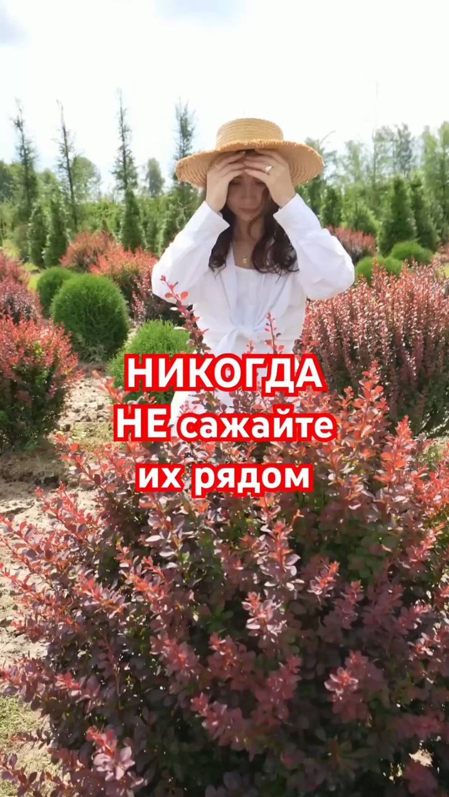 ХУДШИЕ СОСЕДИ: какие цветы НЕЛЬЗЯ САЖАТЬ ВМЕСТЕ