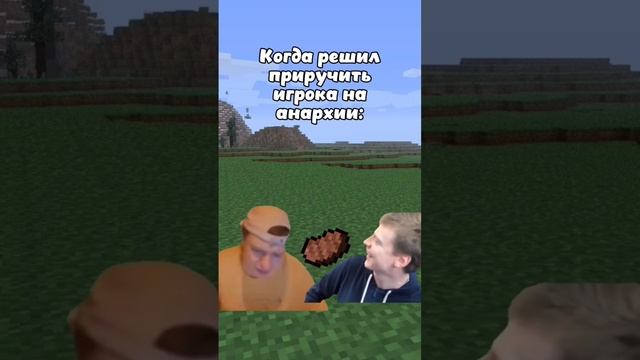 Приручил игрока в Майнкрафт