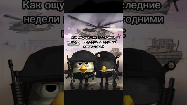 Vasya59к