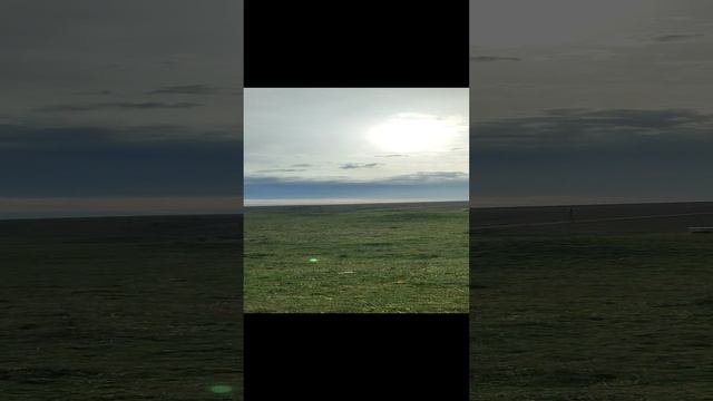 Поездка за дровами