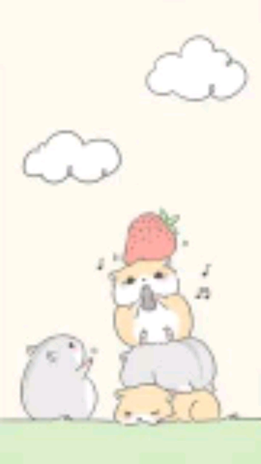 ммдп
