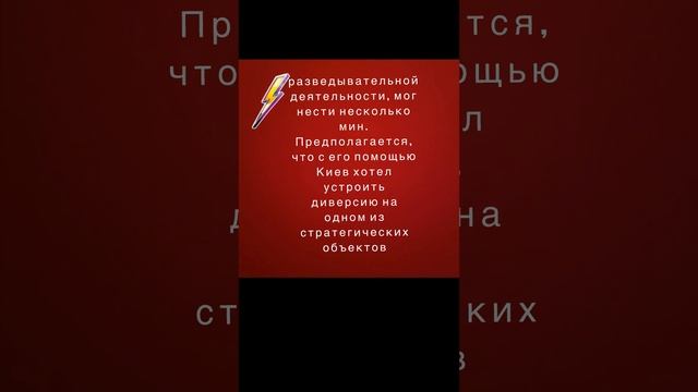 ВСУ запустили ночью в Курской области воздушный шар-террорист