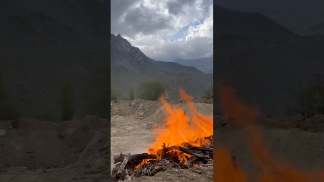 Горы Кавказа Лес Пейзаж Горы Зовут Работа #мир #путешествия #shortsvideo #работа #горы #обед #вкусно