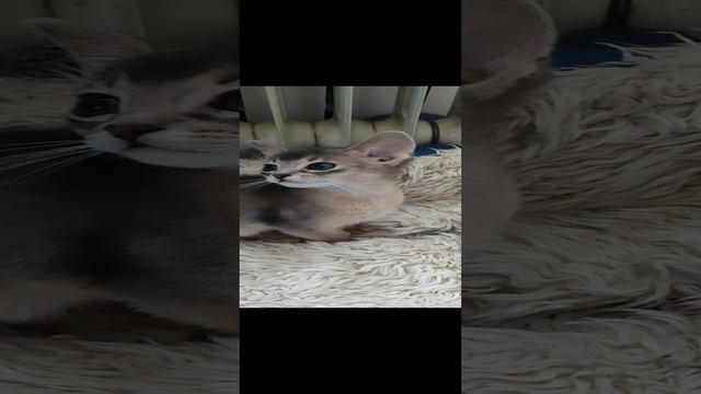 1000155185.mp4
