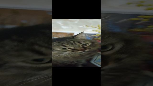 Кетти и цветы.mp4
