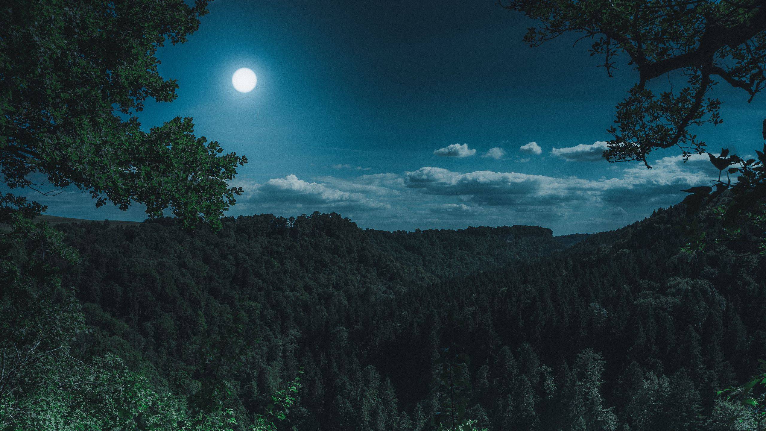 ля