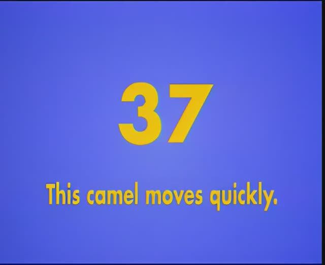 Gogo Loves English 37 - This camel moves quickly