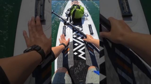 Caught a Fish while SUP in Yangtze river