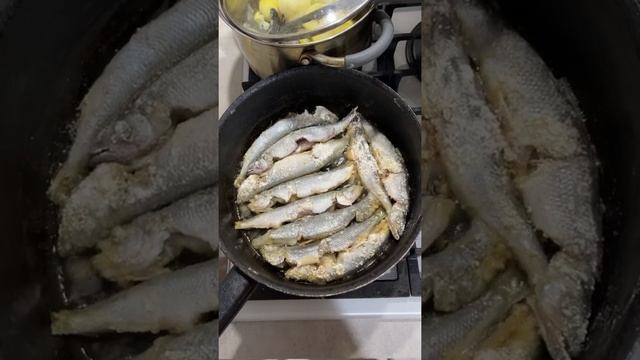 Онежская корюшка