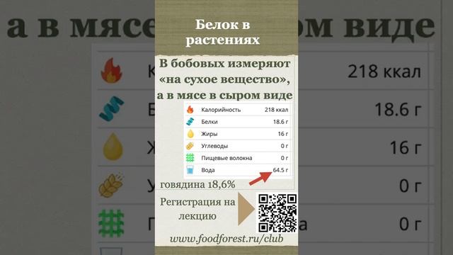 Афанасьев_Биоценоз богатый белком_24
