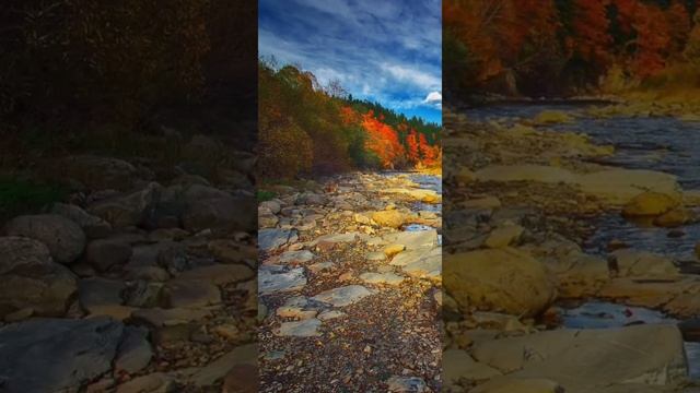 Кодекс. Закон Развития и Совершенствования