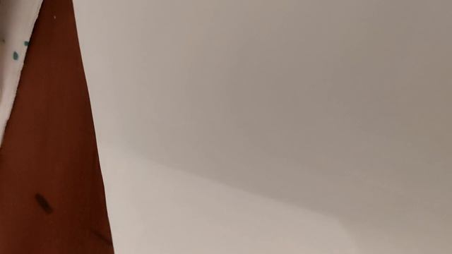 1000046438.mp4