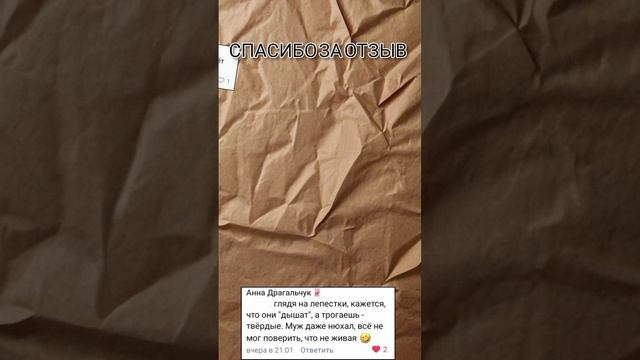 Самая лучшая похвала для мастера