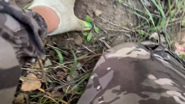 Коп на месте бывшей старой деревни!