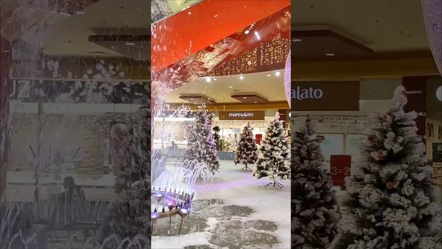 1000101989.mp4