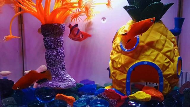 ВТОРОЙ РАЗ С НЕЙ ПОЛУЧИЛОСЬ ПРИЯТНЕЕ. Истории из жизни рассказы. Неверная, женские измены