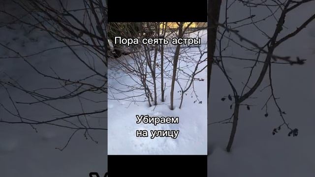 05-01-2025 Если дача далеко...