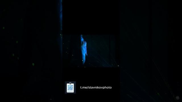бэкстейдж со съемки с лазером