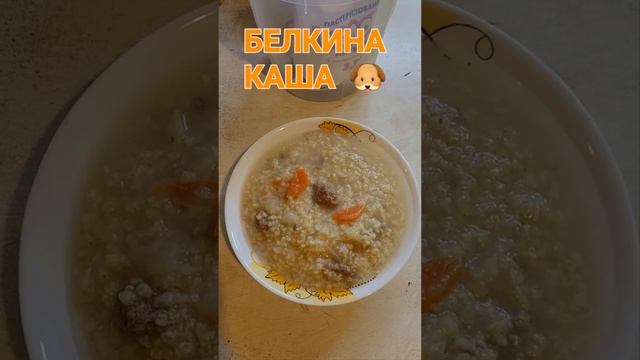 12 июля 2022 г. Чем накормить собаку 🥣❓️