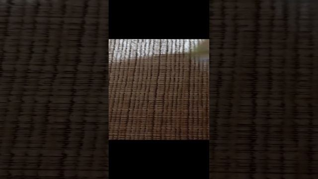 Карта дня💥