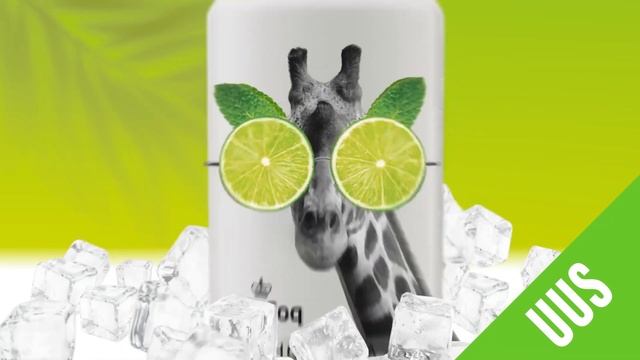 A. Le Coq Fassbrause Mojito